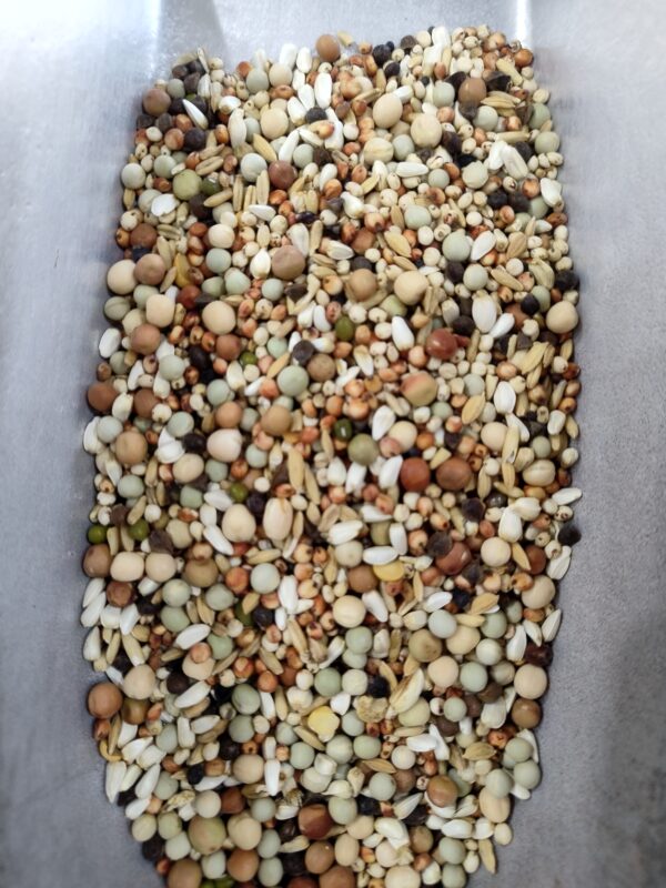 birds food 1kg