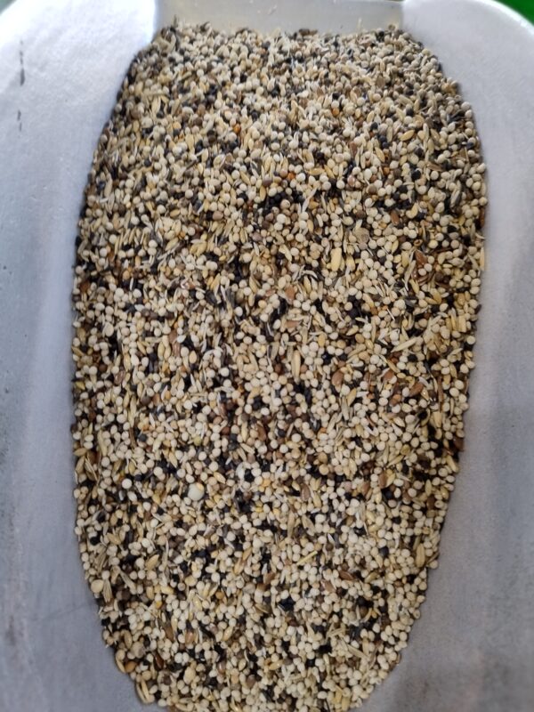 birds food 1kg