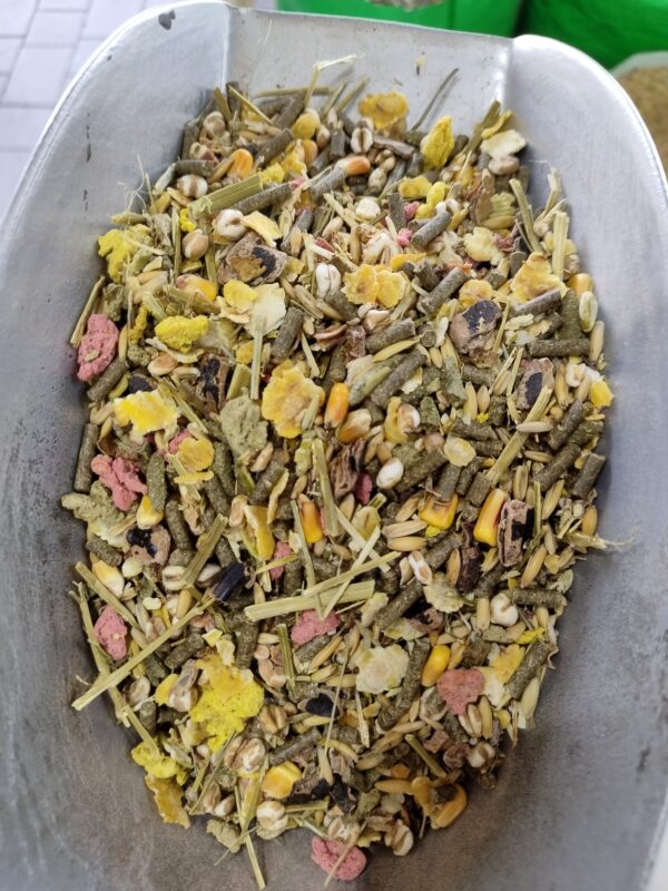 birds food 1kg