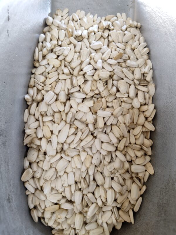 birds food 1kg