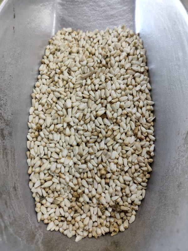 birds food 1kg