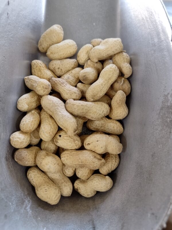 Birds food 1 kg