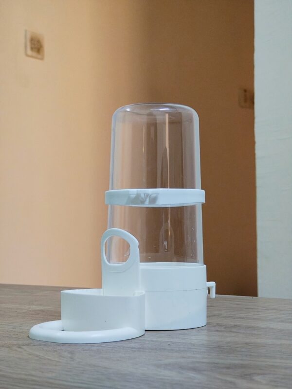 Automatic bird feeder