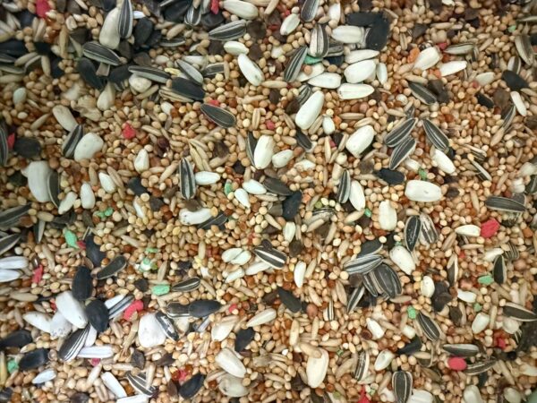 Cockatiel and Lovebirds food 2kg